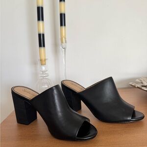 Splendid Black Women's Mules
